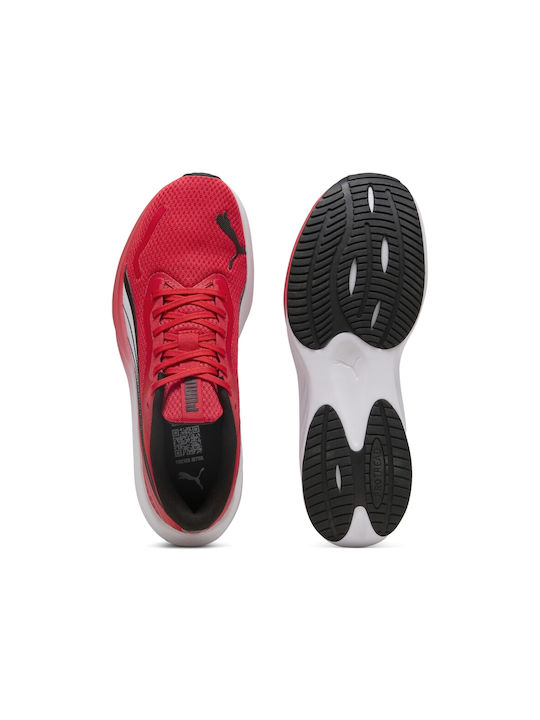 Pounce Lite Ανδρικά Αθλητικά Παπούτσια Running Κόκκινα
