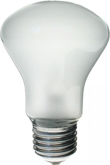 Elinchrom Adjsustment Light 196V 100W Replacement Lamp Daylight 100W