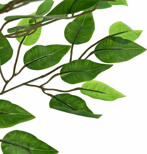 Ficus in Topfpflanze vidaXL
