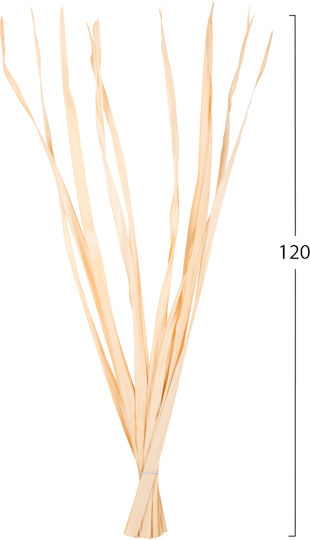 Dried Plant 10 Pieces HomeMarkt Dried Plant 10 Pieces HomeMarkt