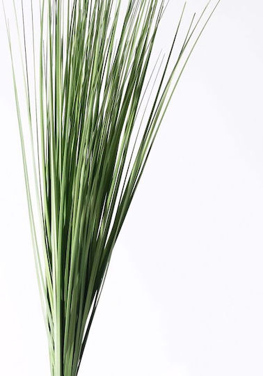 Künstliches Vertieftes Pflanze Pampasgras 65cm Supergreens