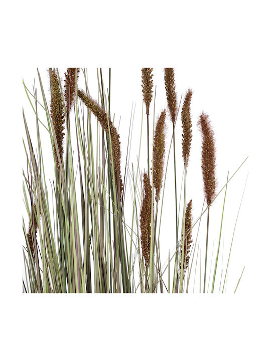 Bunny Tails σε Γλάστρα GloboStar