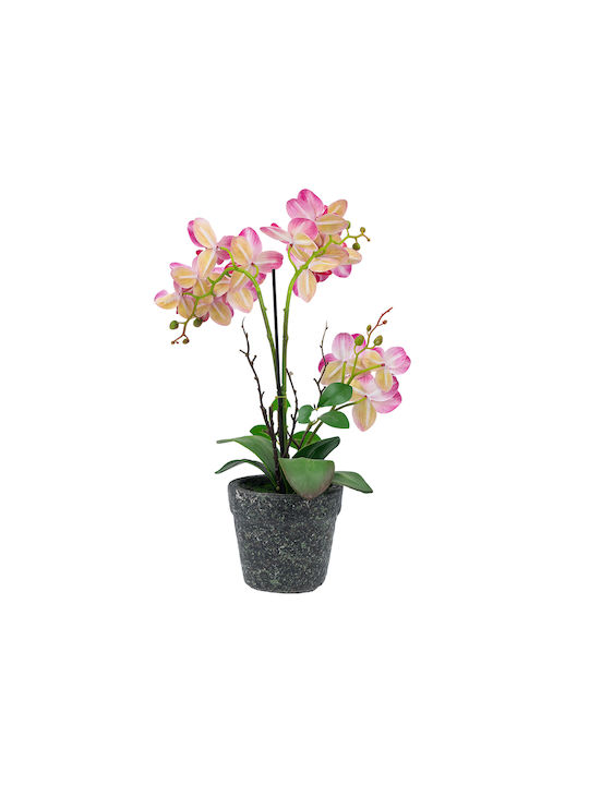 Orchidee in Topfpflanze Rosa 46cm Artekko