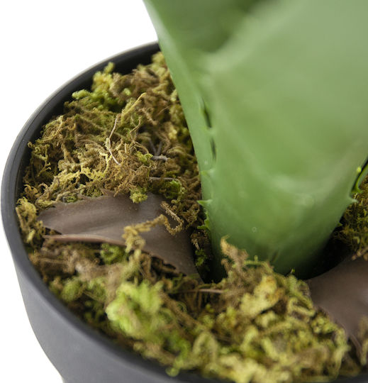 Plantă Artificială în Ghiveci Mic Green 19.7cm Artekko