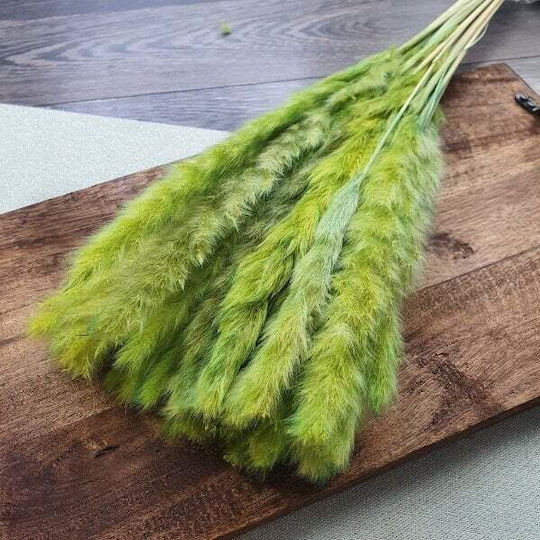 Αποξηραμένο Φυτό Pampas grass ED Collection
