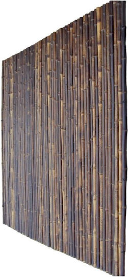 Showood Bamboo Fencing with Whole Reed Bamboo 2x2.5m