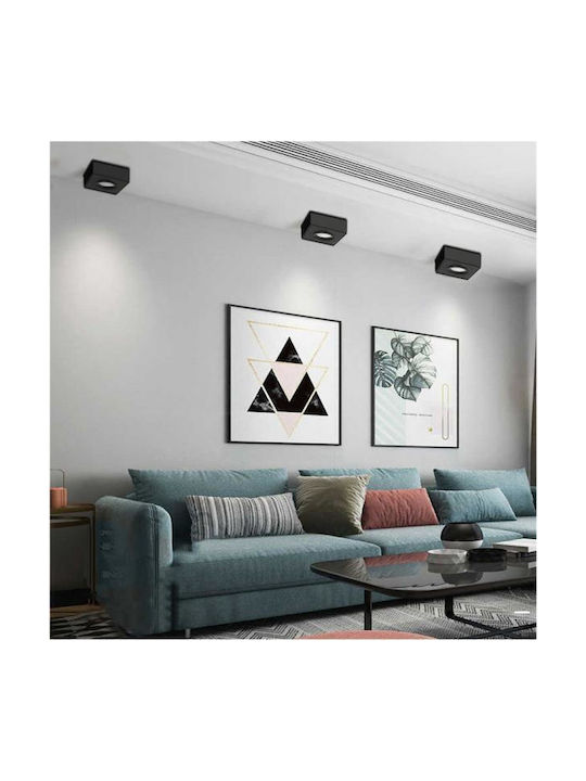Maclean Energy Single Spot in Black Color