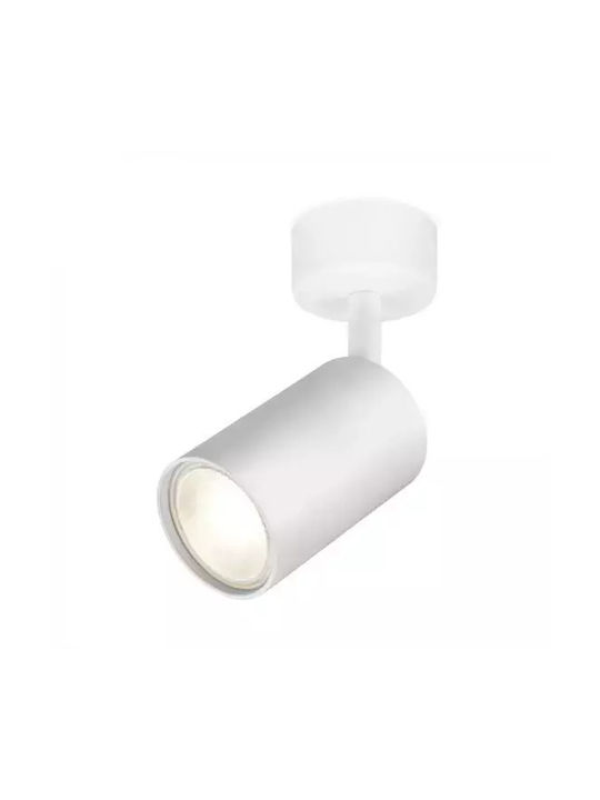 Braytron Single Spot with Socket GU10 in White Color