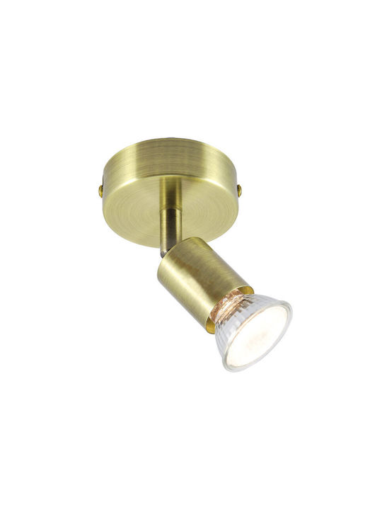 Lucas Einzel Spot mit Fassung GU10 in Gold Farbe