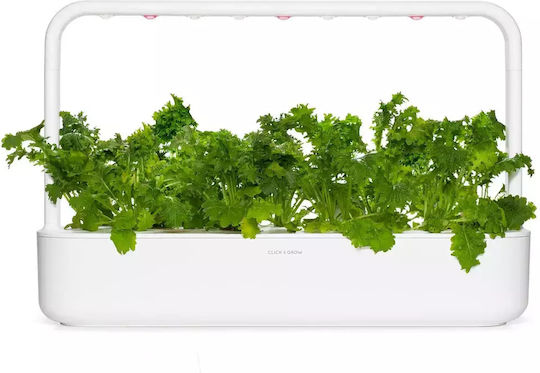 Wasabi Mustard Click & Grow Smart Garden Set 3 Pods