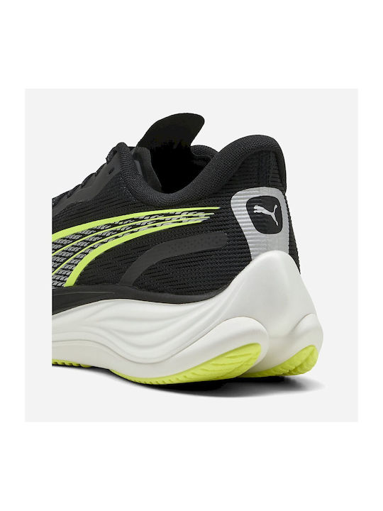 Velocity Nitro 3 Sport Shoes Running Black