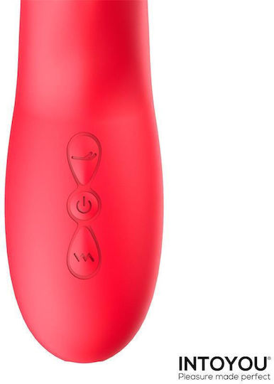 IntoYou Klitoris Vibrator Rot
