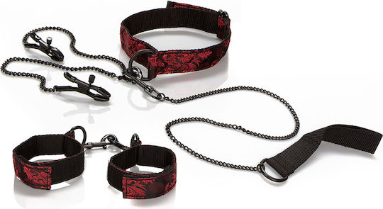 Calexotics Scandal Submissive BDSM Kit in Black Color