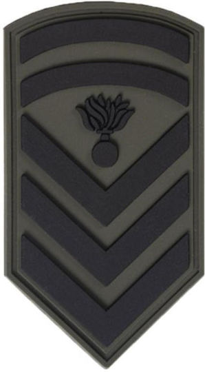 All About Army 010587 Σήμα Σωμάτων Ασφαλείας Επιλοχίας