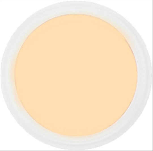 Trendy Color Cosmetics Σκόνη Ακρυλικού σε Ροζ Χρώμα 30gr