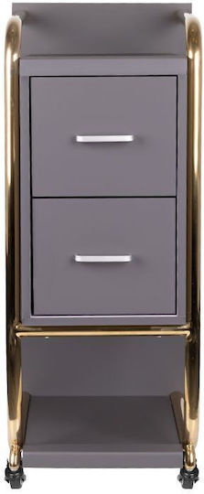 Activeshop Hair Salon Maintenance Cart with 2 Drawers