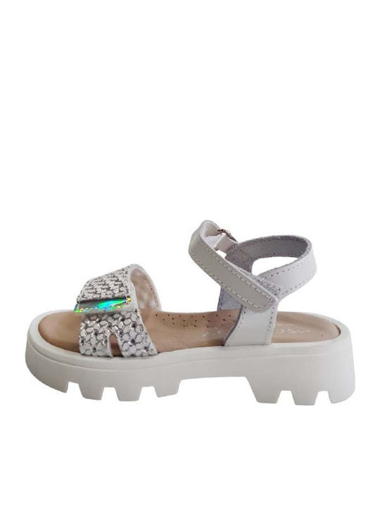 Scarpy Scarpy