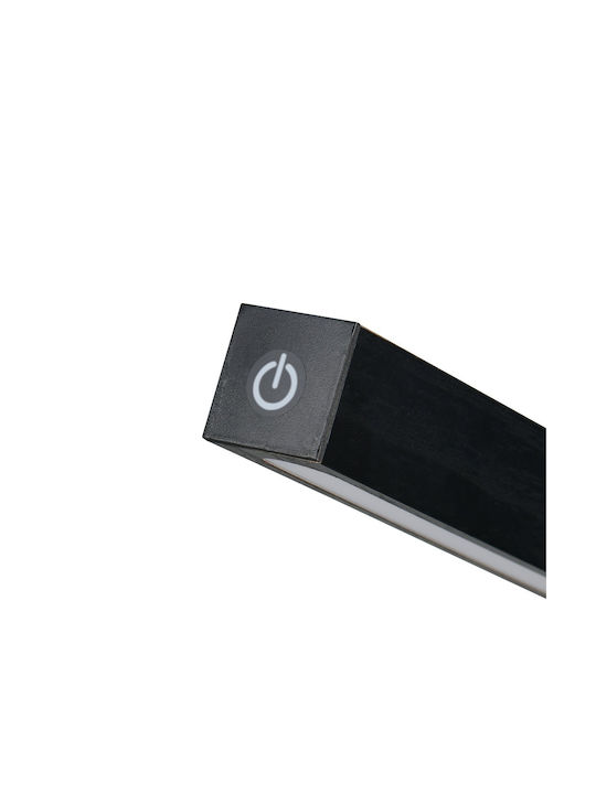 Trio Lighting Dekorative Lampe Schwarz