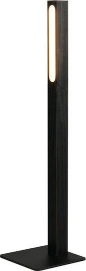 Trio Lighting Διακοσμητικό Φωτιστικό LED Θερμό Λευκό 3000K