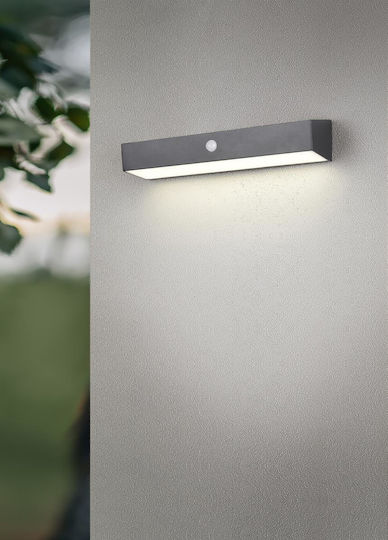 Trio Lighting R233061 Trio Lighting R233061