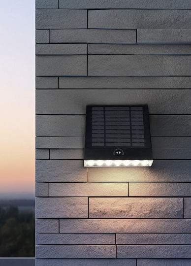 Trio Lighting Επιτοίχιο Εξωτερικό Φωτιστικό