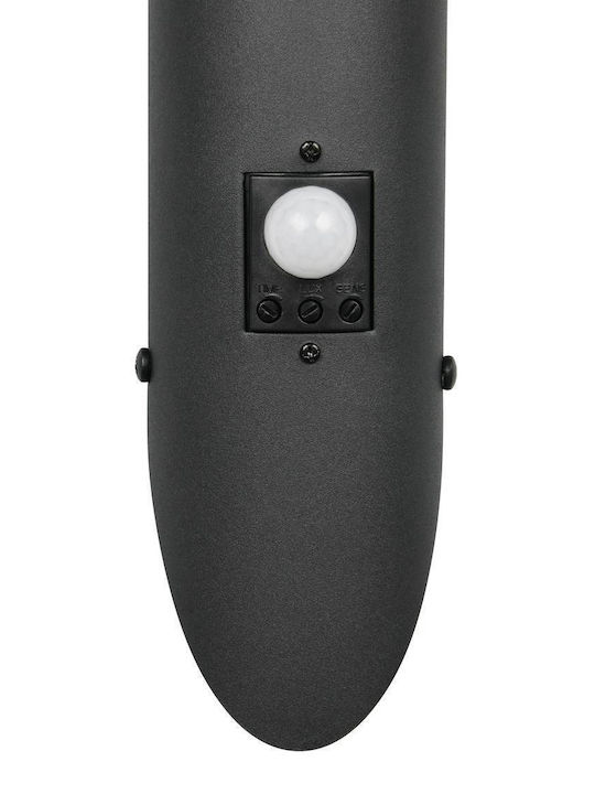 Trio Lighting Επιτοίχιο Εξωτερικό Φωτιστικό