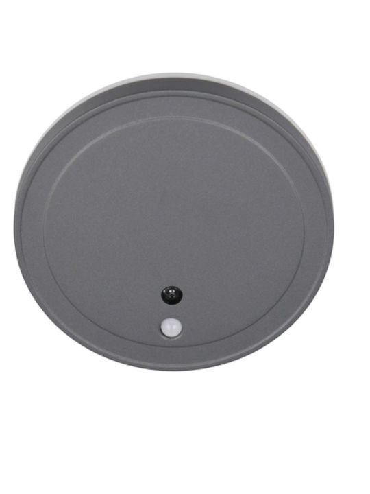 Trio Lighting Lumină de exterior montată pe perete