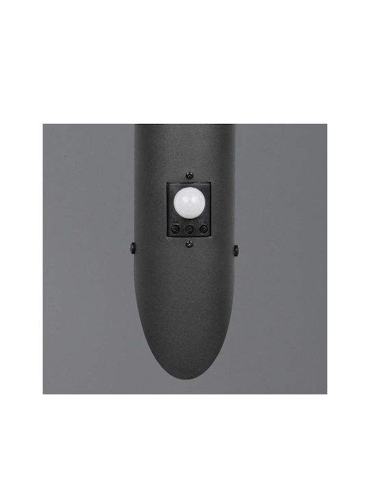 Trio Lighting Επιτοίχιο Εξωτερικό Φωτιστικό
