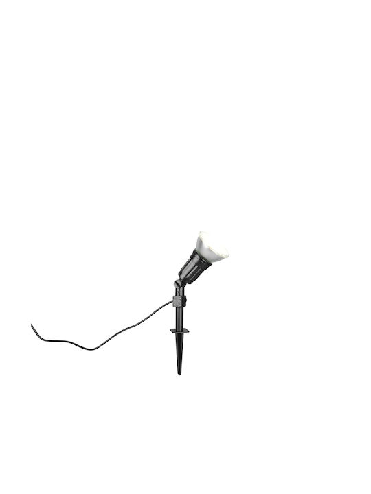 Trio Lighting LED-Leuchte Eingesteckt R86466102