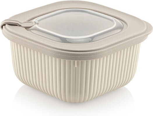 Viosarp Microwave Plastic Lunch Box Transparent 600ml
