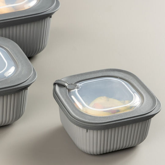 Viosarp Microwave Plastic Lunch Box Transparent 600ml