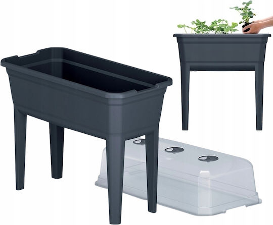 Prosperplast IPE750-S433 Mini Σπορείο 36.8x74.6x77.7cm