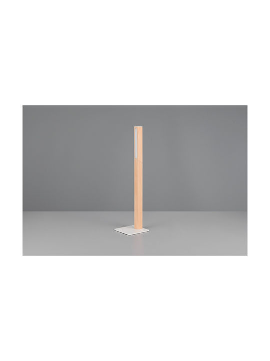 Trio Lighting Διακοσμητικό Φωτιστικό LED Θερμό Λευκό 3000K