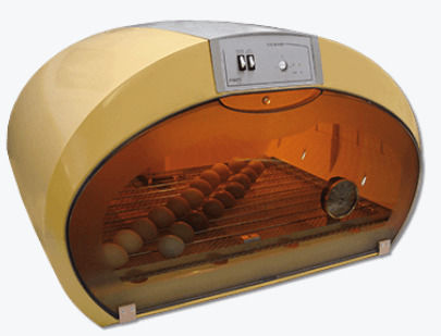 Fiem Automatic Egg Incubator 70 Eggs