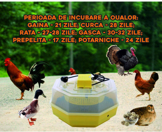 Ertone Cleo 5 Incubator Manual Pentru 60 Ouă