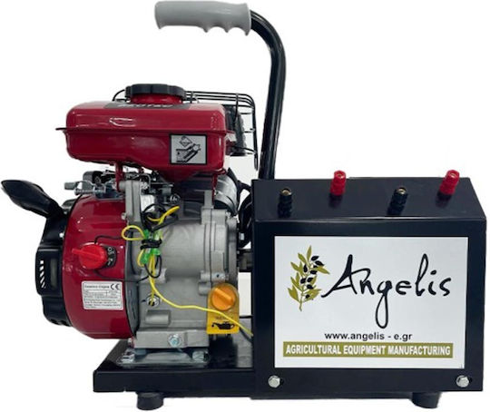 Agelis Olive Harvester Generator with with Stabilizer 13.8V Engine and 70A Dynamo