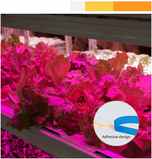 Grow Light με LED 3εκ.