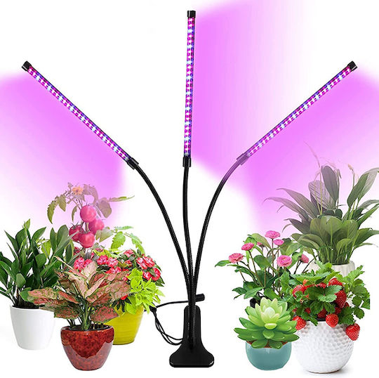 Factory Desk Grow Light with 80 LED and Power 60W 65cm.