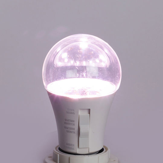 Eurolamp Pendant Grow Light with LED and Power 9W