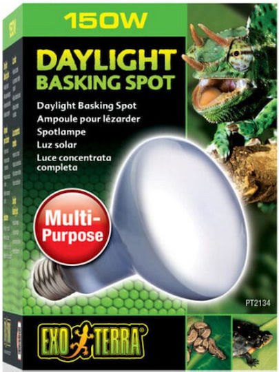 Exo Terra Basking Spot 100w Accessory for Reptiles Terrarium