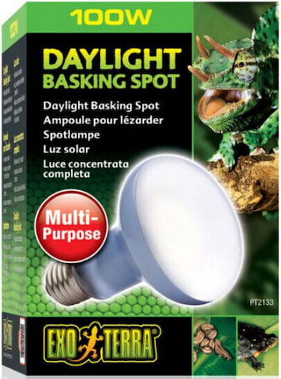 Exo Terra Basking Spot 100w Accessory for Reptiles Terrarium