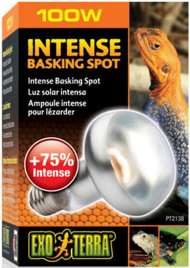 Exo Terra Intense Basking Spot 150w Лампа за Терариум за Рептили 150W