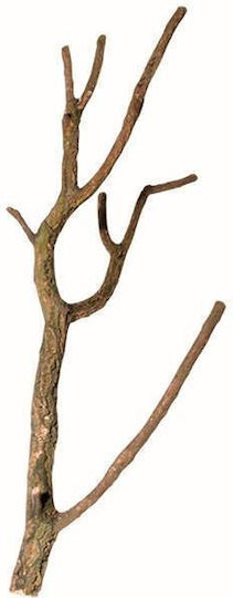 Hobby Decor pentru terariu de reptile din Lemn
