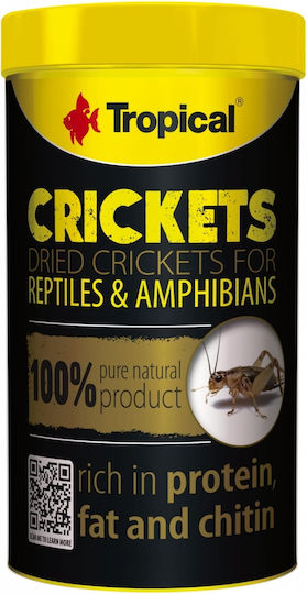 Tropical Τροφή για Τροπικά Ψάρια 100ml 10γρ.