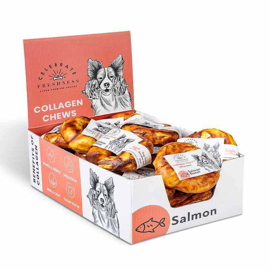 Celebrate Freshness Bone Calcium for Dogs with Salmon Flavor 10cm