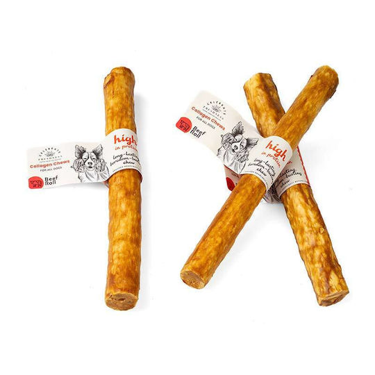 Celebrate Freshness Bone Training for Dogs with Flavor Beef 25cm