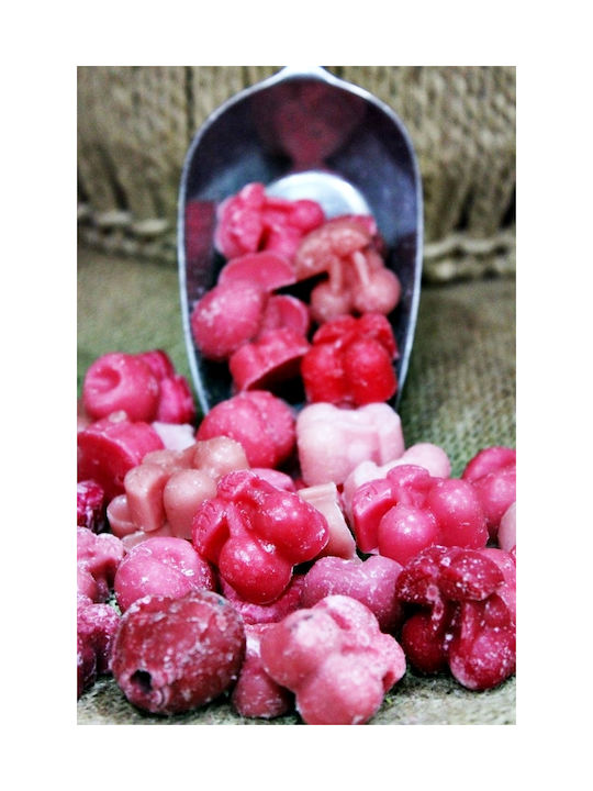 Gerakis Wax Melt Parfumat cu Aromă Cireșe G-27141