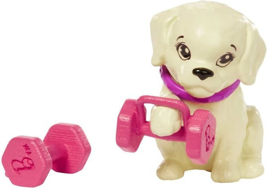 Barbie Wellness Doll Workout Outfit with Puppy, Roller Skates And Tennis for 3+ years+ Years