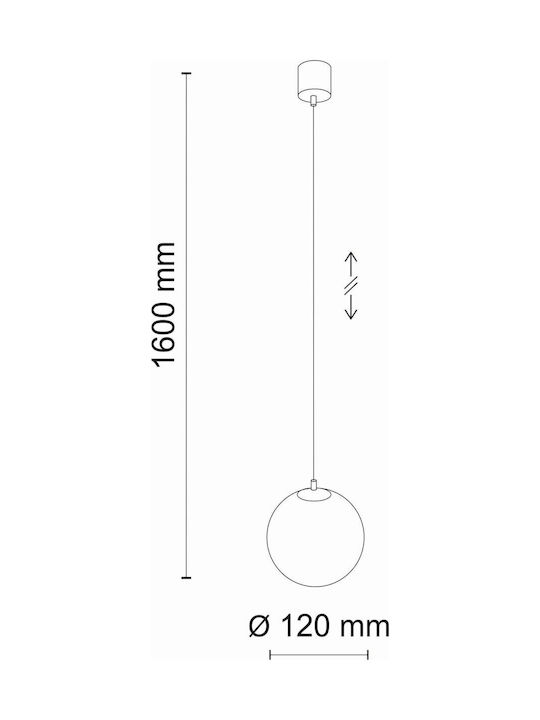 TK Lighting Martin Κρεμαστό Φωτιστικό Μαύρο Μπάλα με Ντουί G9 12εκ.