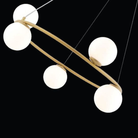 Sigma Pendant Light Gold for 5 Bulbs G9 70cm